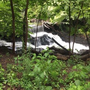 Meet your Posher, Kenzie